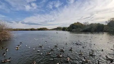 Photo de Duck Feeding Area