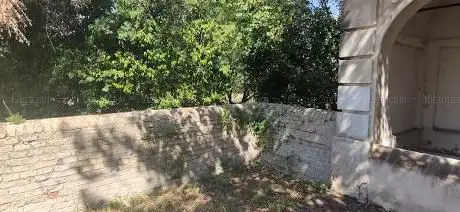 Fonte della quercia