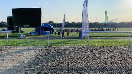 Photo de Outdoor Cinema Derby