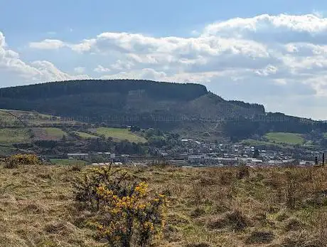 Spirit of llynfi Community Woodland