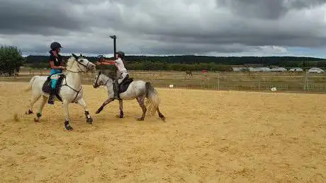 Photo de Les Poneys d'Abord