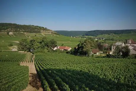 Photo de Lyon-Winetours