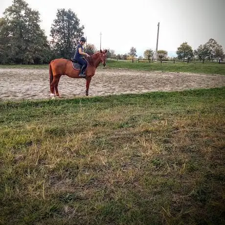SCUDERIA CERVO