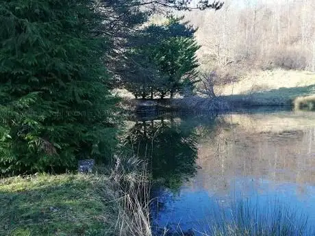Parco dell villaggio Montereggio