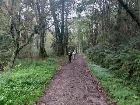 Photo de Primera etapa Camino de Santiago Primitivo