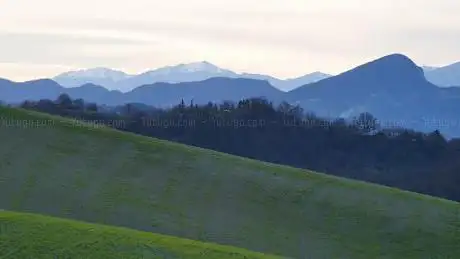 Colline di Dinazzano
