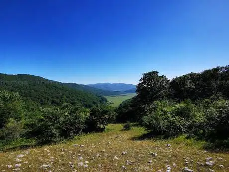 Photo de Oasi naturale di Mandranello