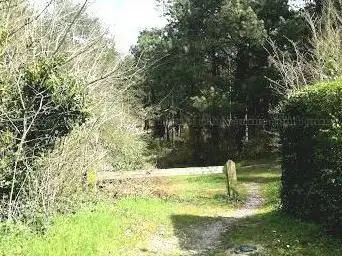 Brighton Woods