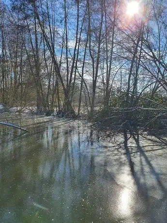 Photo de Natuurgebied Schapenhagen