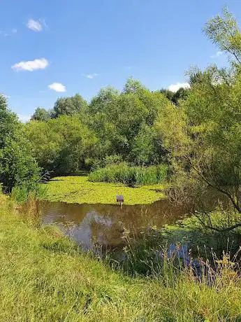 Photo de Wynyard Manor Woods