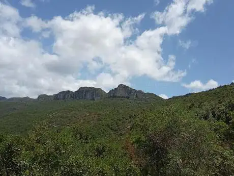 foresta demaniale di Bingionniga