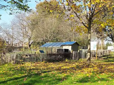 Potager collectif 