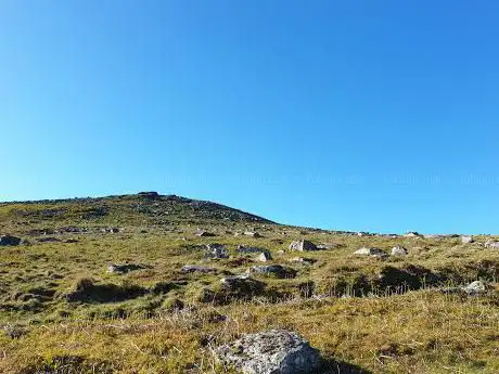 Rowtor