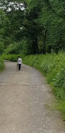 Coed Ffordd y Gyfraith