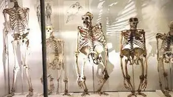 Photo de University Museum Of Zoology
