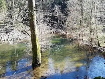 Hermeskeiler Biberpfad
