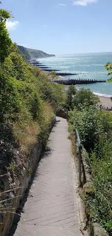 Photo de West Fir Trees Walk