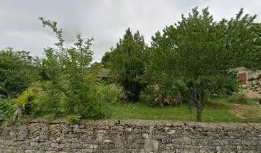 Photo de La Palmeraie