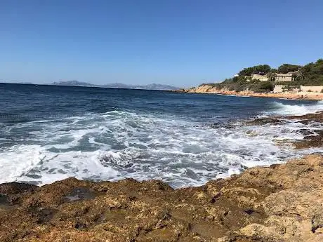 Photo de Plage sauvage