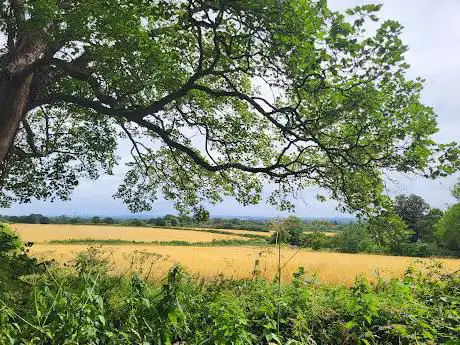 Ockbrook Bridleway