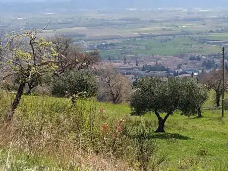 Lago di Farneto