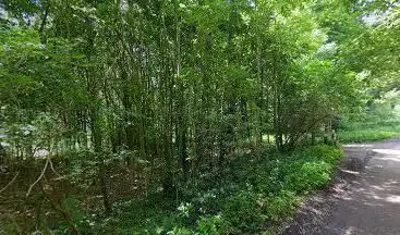 Wandelknooppunt 53