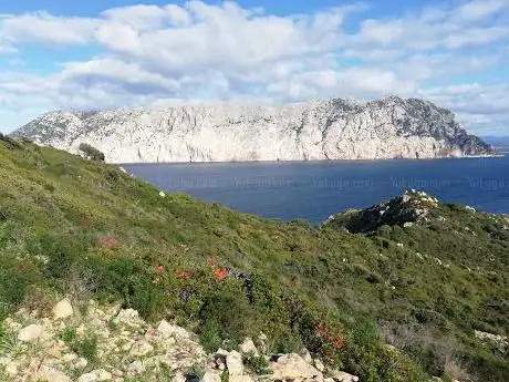 Castello di Molara