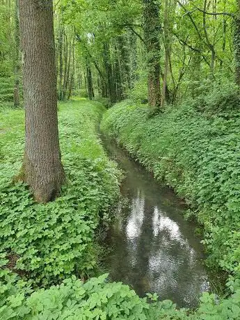 Het Rotbos