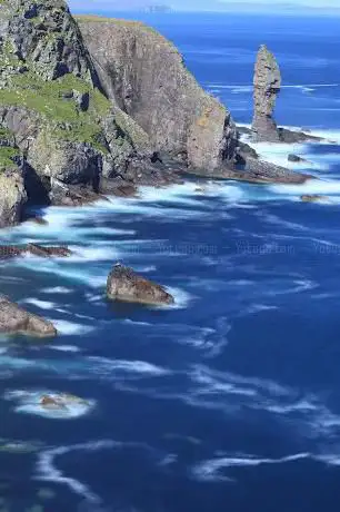 Photo de North Coast Sea Tours