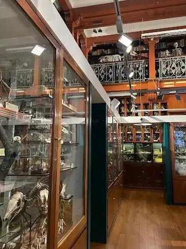 Photo de Grant Museum of Zoology
