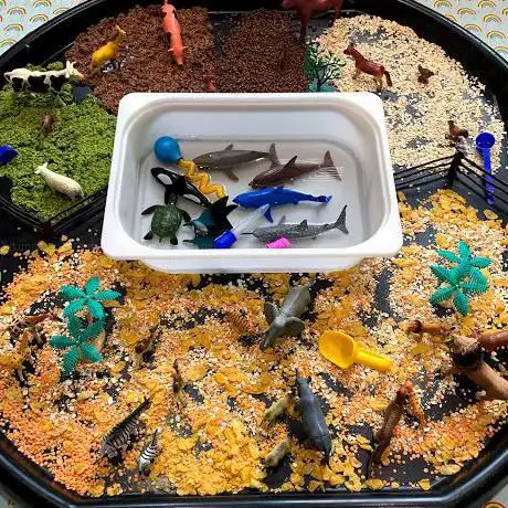 North Devon Sensory Explorers