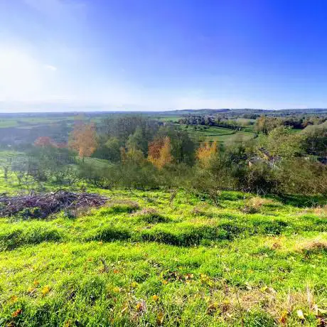 Viewpoint