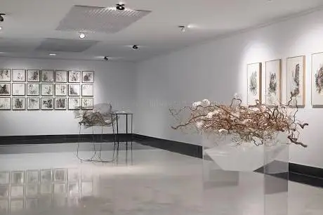 Photo de GalerÃa Isolina Arbulu