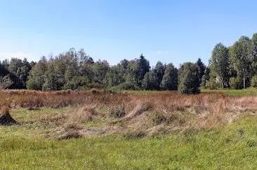 HÃ¶chenschwander Moor