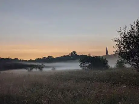 Morfa Wetlands