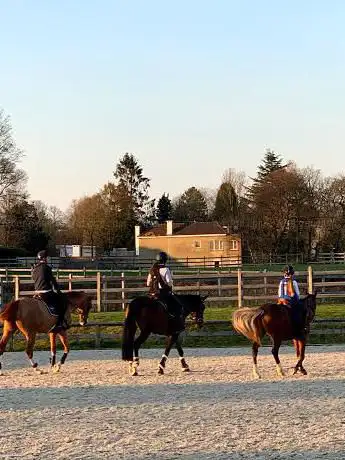 Horses Paradise Vzw