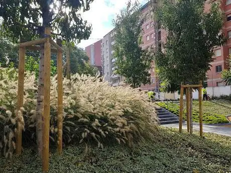 Jardí Lanzarote