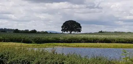 Photo de Polemere Nature Reserve