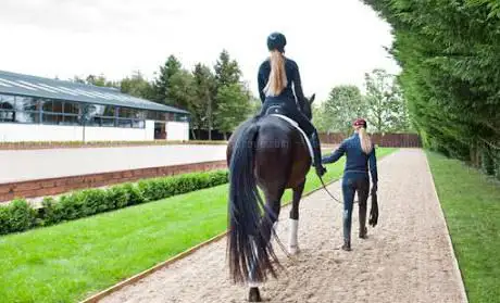 Cotswold Club Equestrian