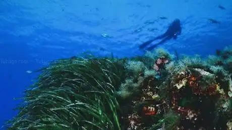 Photo de Mare Nostrum Diving