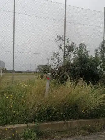 Campo da calcio a 11
