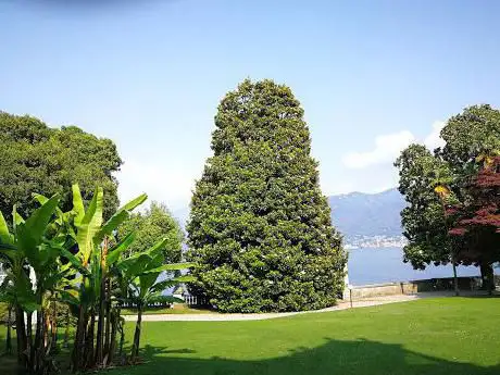 Parco Di Villa Giulia