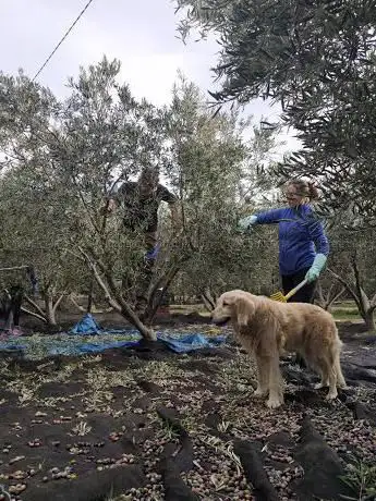 Photo de cortijo siseñores