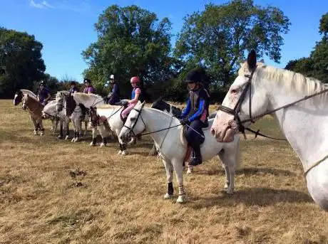 Drakes Farm Riding Centre