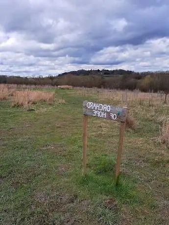 The Orchard of Hope