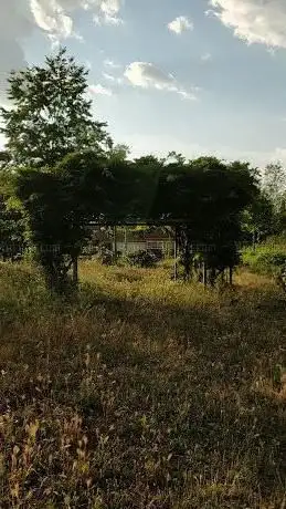 Photo de Valle-Inclán Park