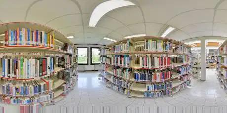 library Denderleeuw