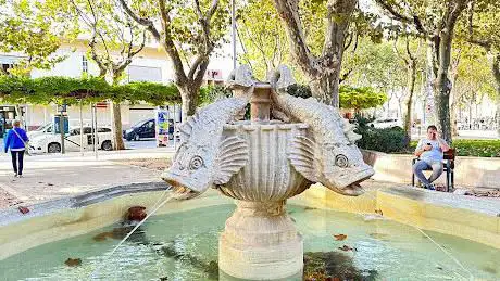 Photo de Cedre del jardÃ­ de l'estació de Figueres