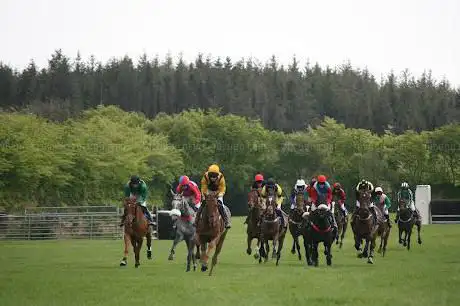 Upcott Cross Point-To-Point Racecourse