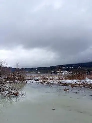 Sentier d'interprétation sur pilotis du marais de Vaux